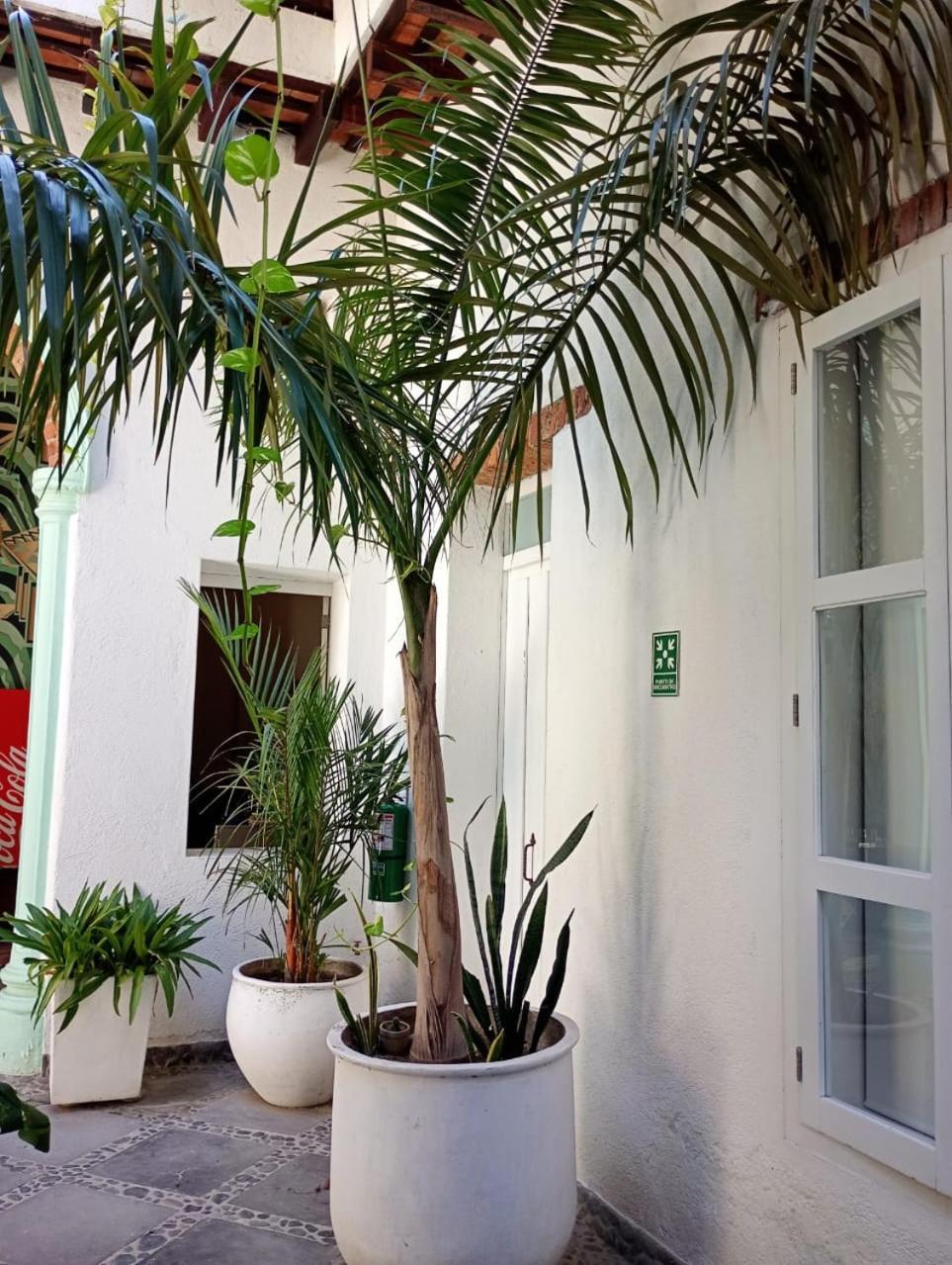 Casa Verde Hotel Santa Marta  Bagian luar foto